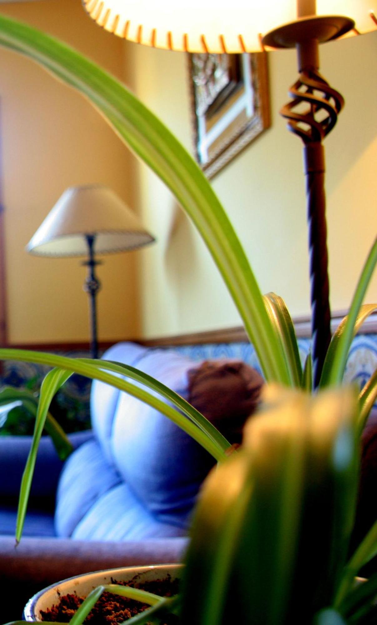 Hostal Casa Barranco Castejón del Puente Kültér fotó